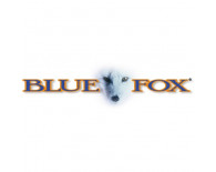 Blue fox